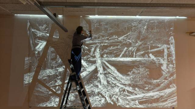 Anna J. van Stuijvenberg